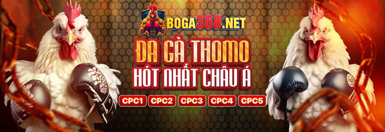Sân vận động với ánh đèn rực rỡ và các hoạt động cá cược thể thao